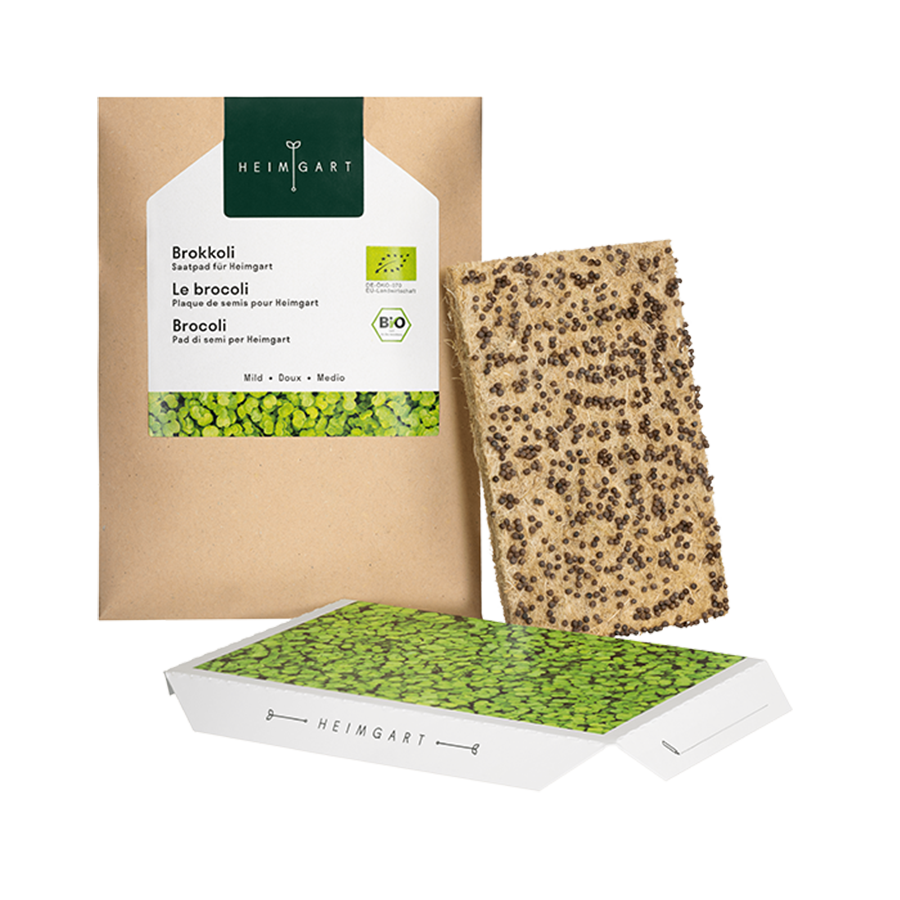 Microgreens Bio-Saatpad Brokkoli