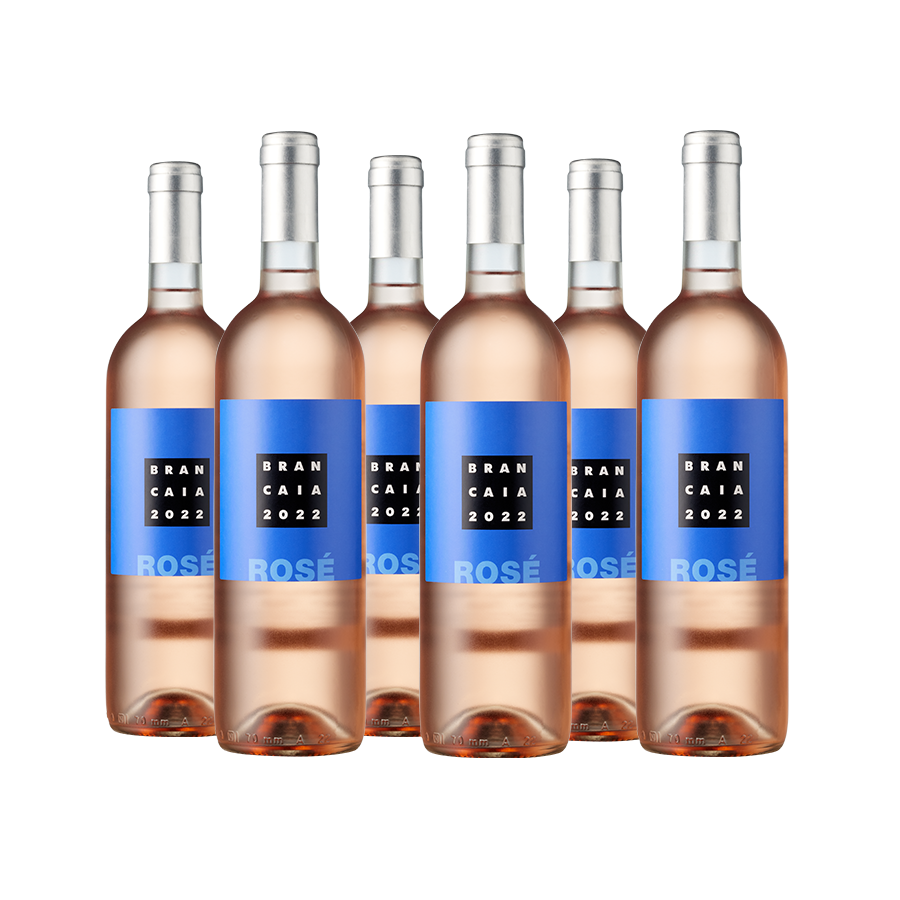 Weinpaket Brancaia Rosé 