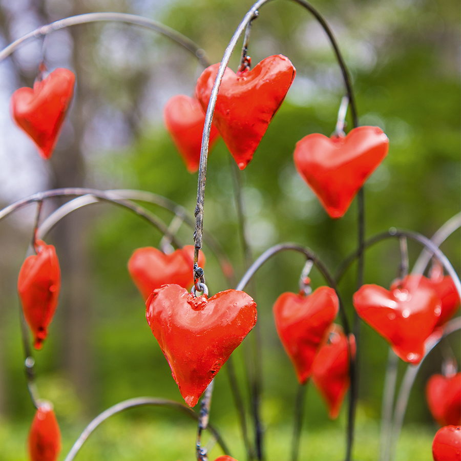 Gartenstecker Herzblumen