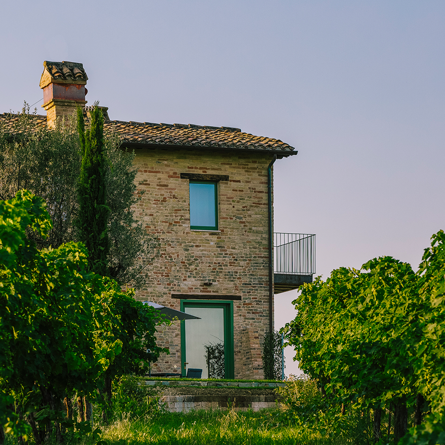 Weinpaket Tenuta Cocci Grifoni