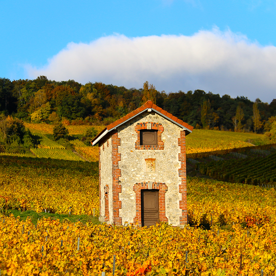 Champagnerpaket Herbstfreude