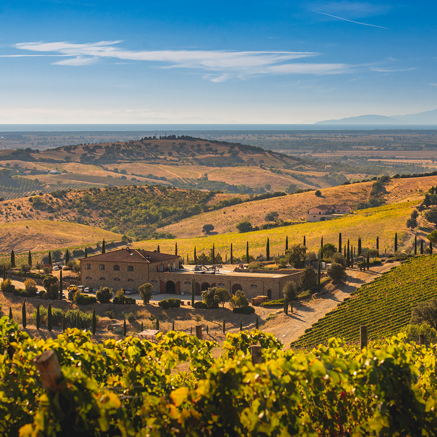 Weinpaket Brancaia il Bianco