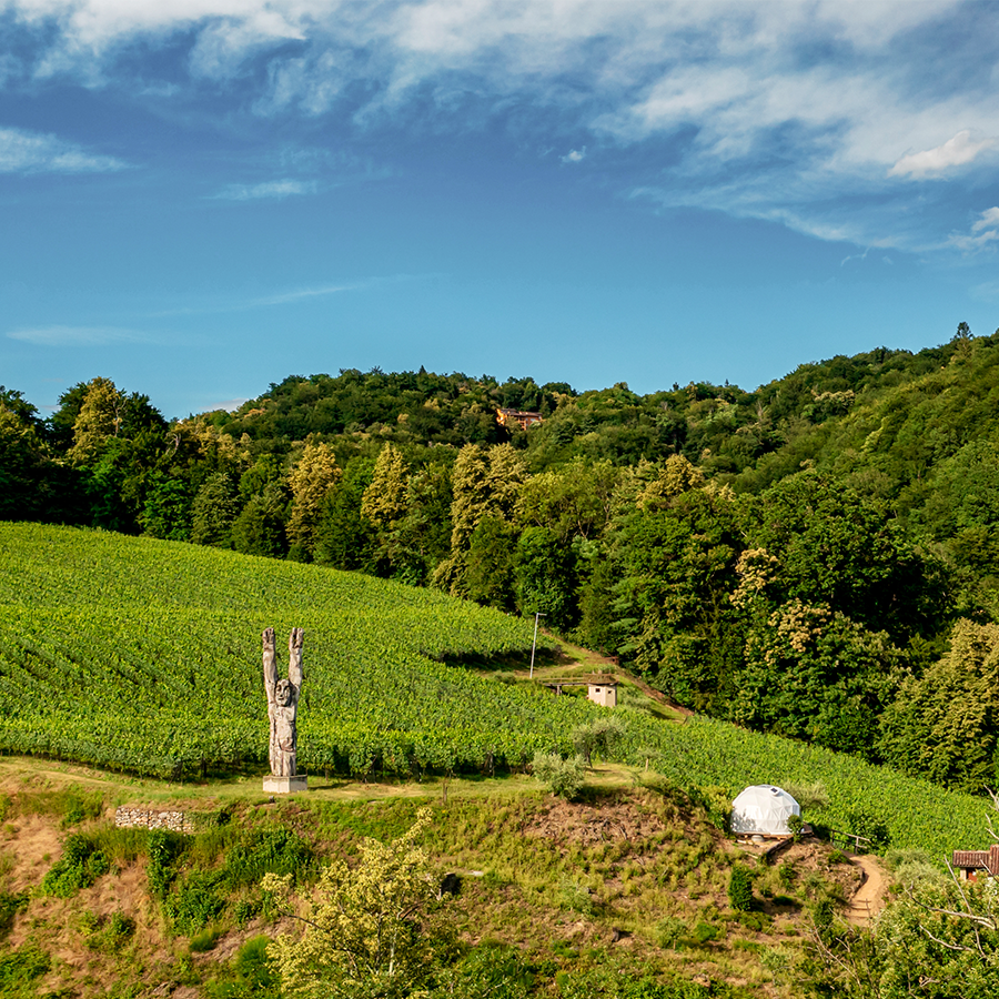 Weinpaket Zürich und Tessin