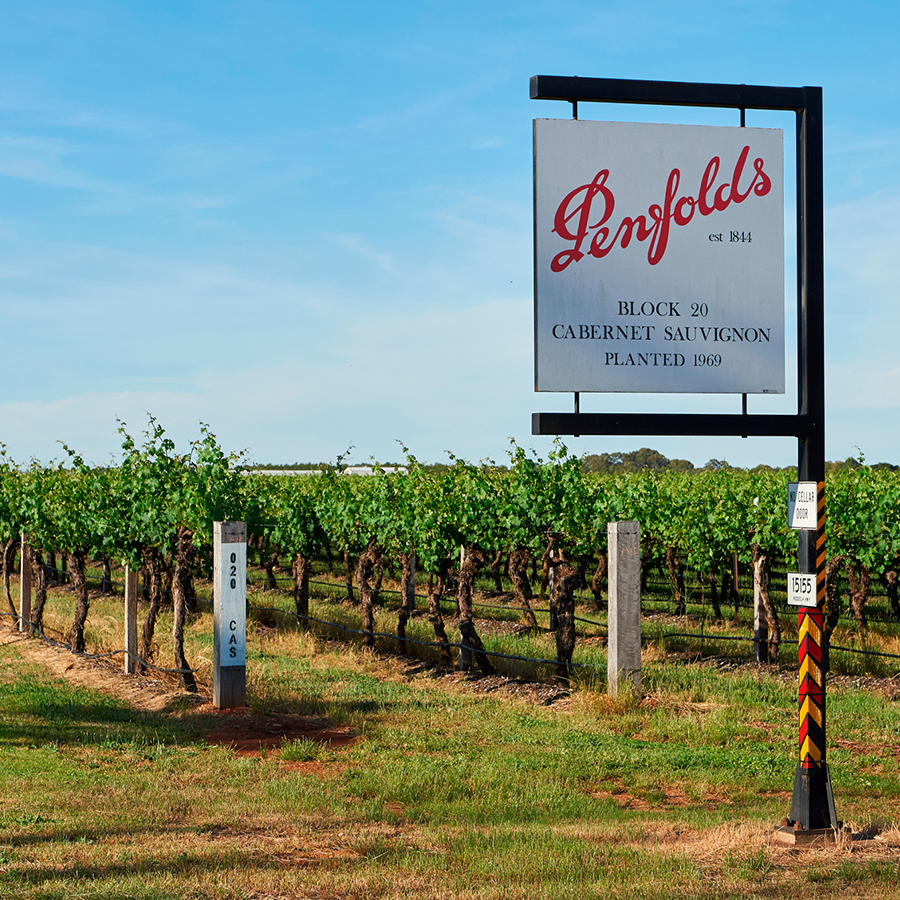 Weinpaket Penfolds