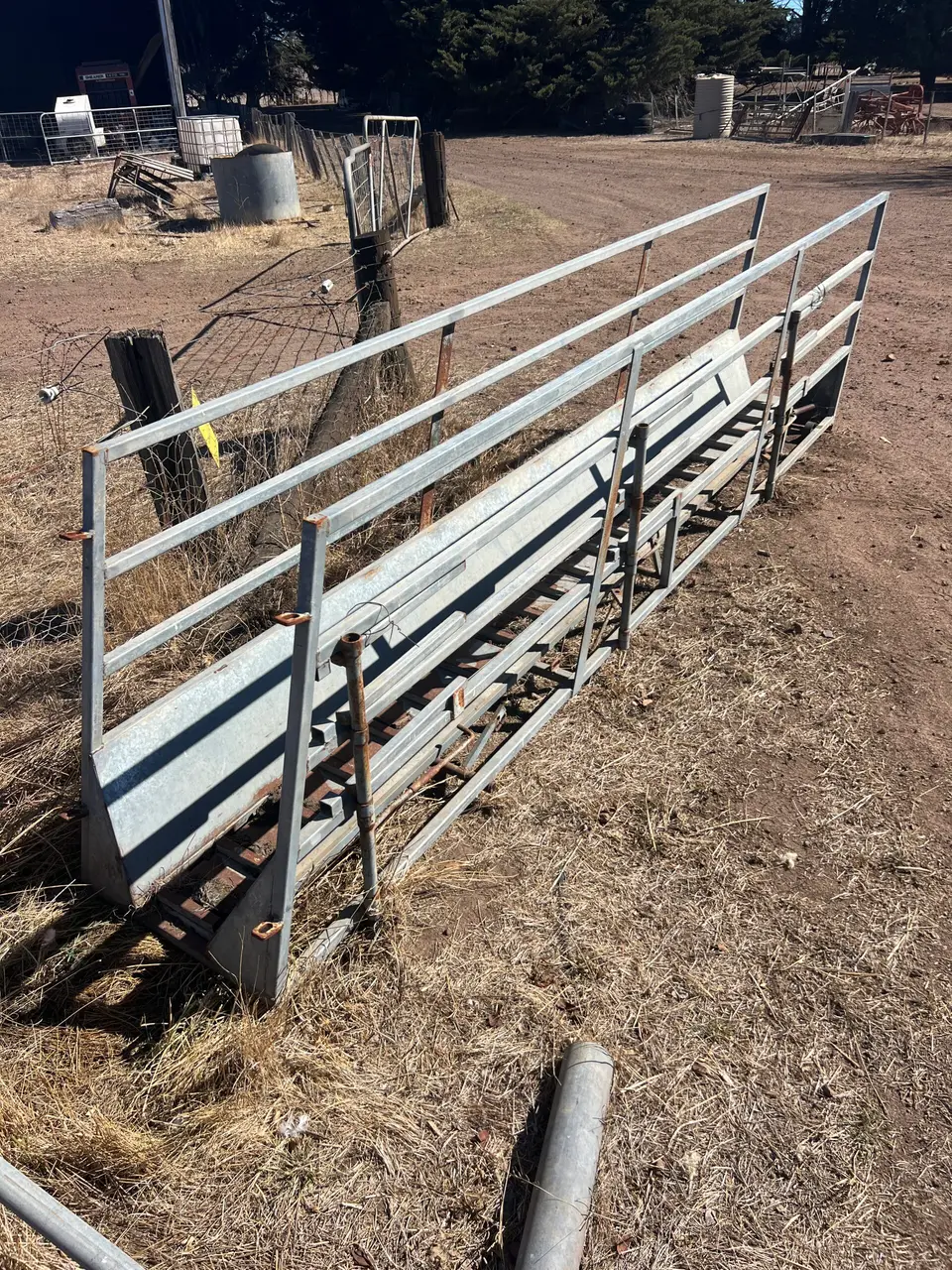 sheep auto backing race (1 of 5)