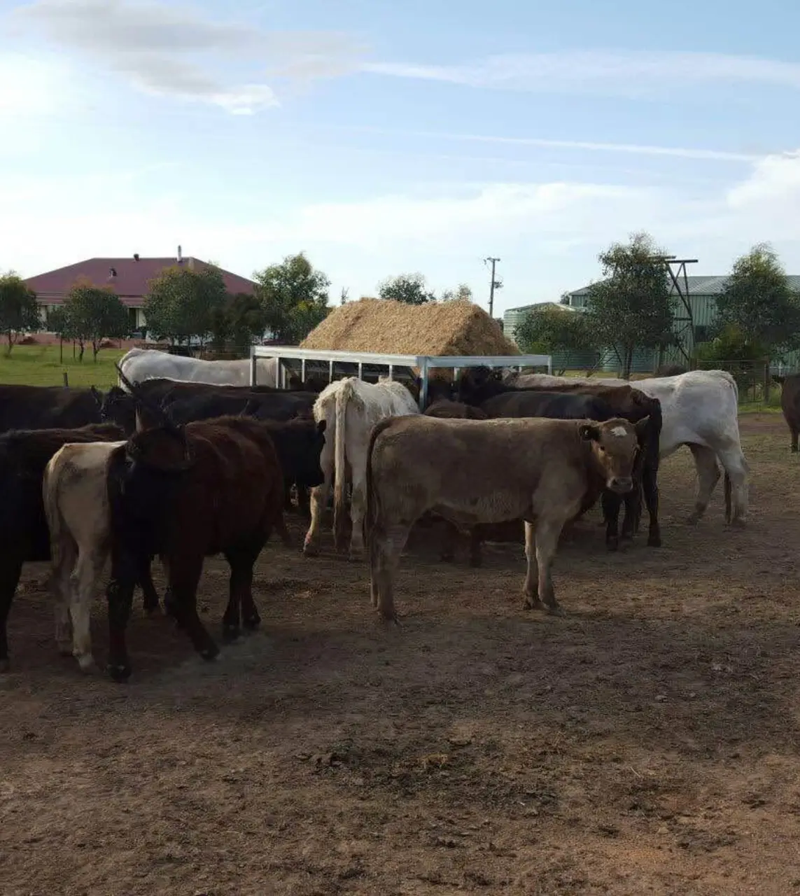 HAY FEEDERS (7 of 8)