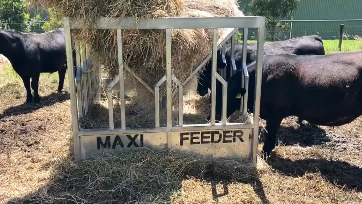 HAY FEEDERS (3 of 8)
