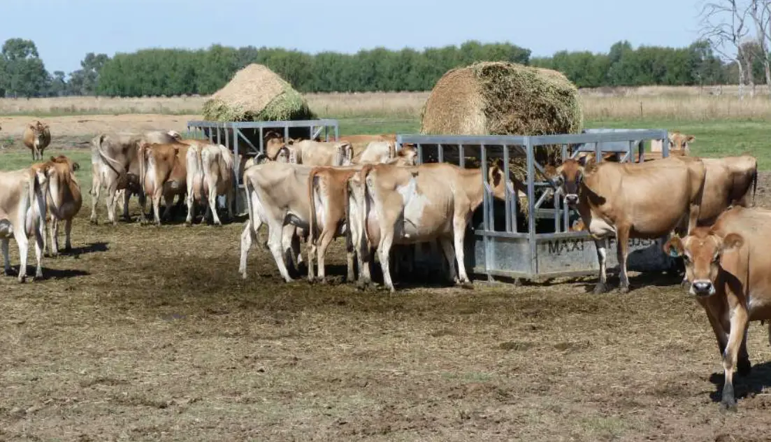 HAY FEEDERS (4 of 8)