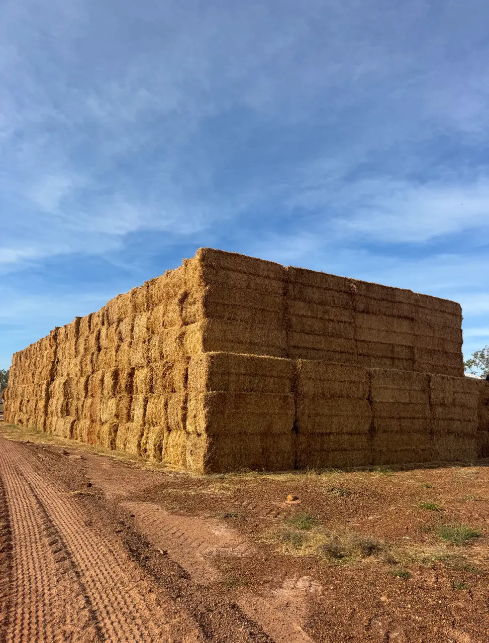 Cavalcade Hay (4 of 4)