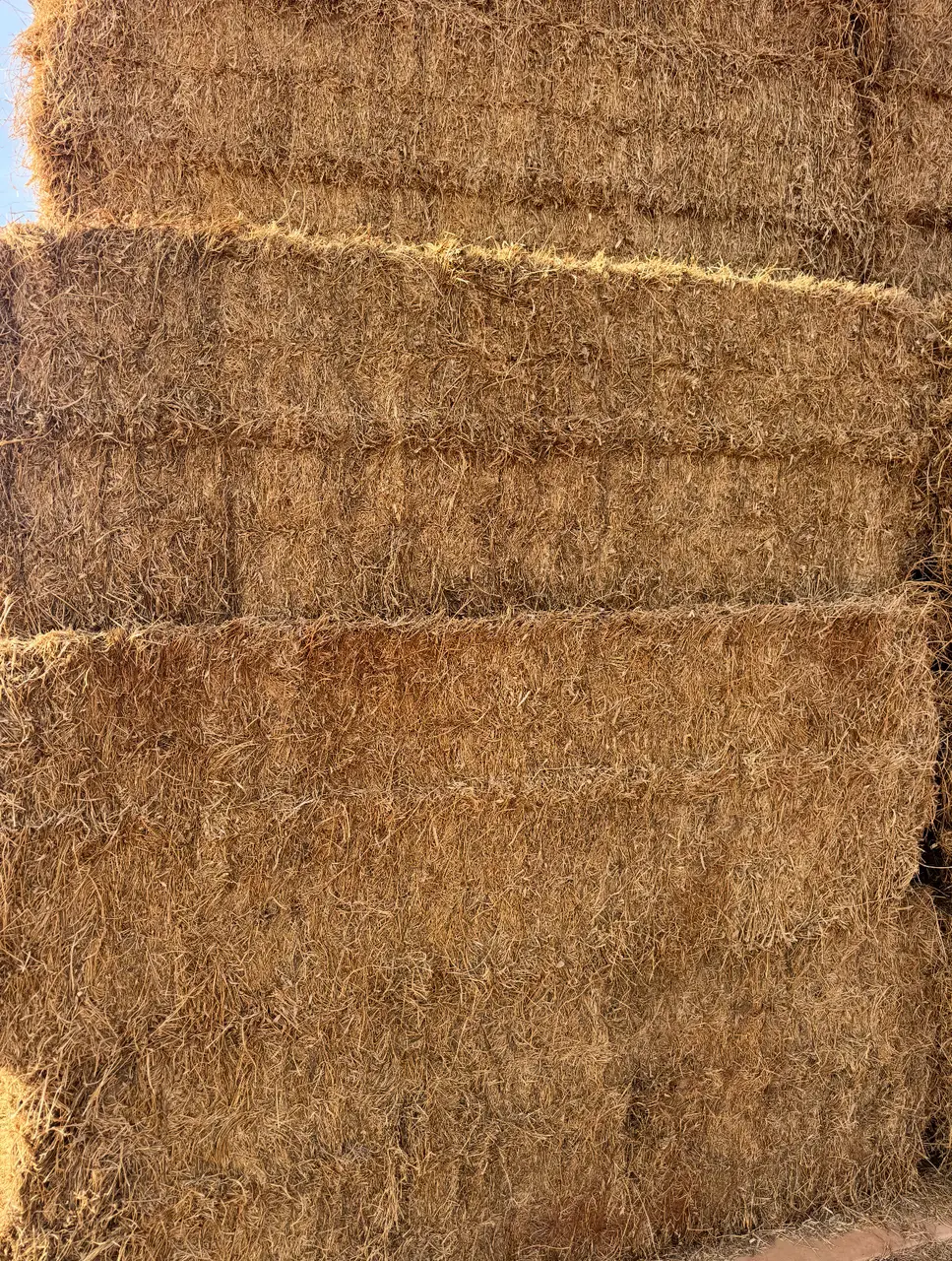 Cavalcade Hay (3 of 4)