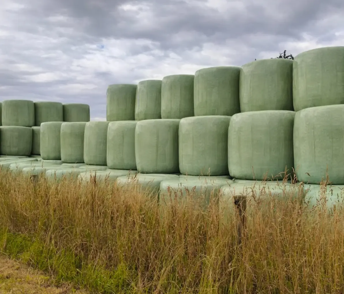 Silage wrap (2 of 4)