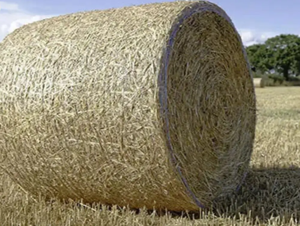 Net Wrap (1 of 7)