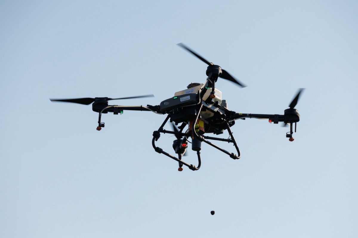 PBZとスロベニアからスラヴォニアへ