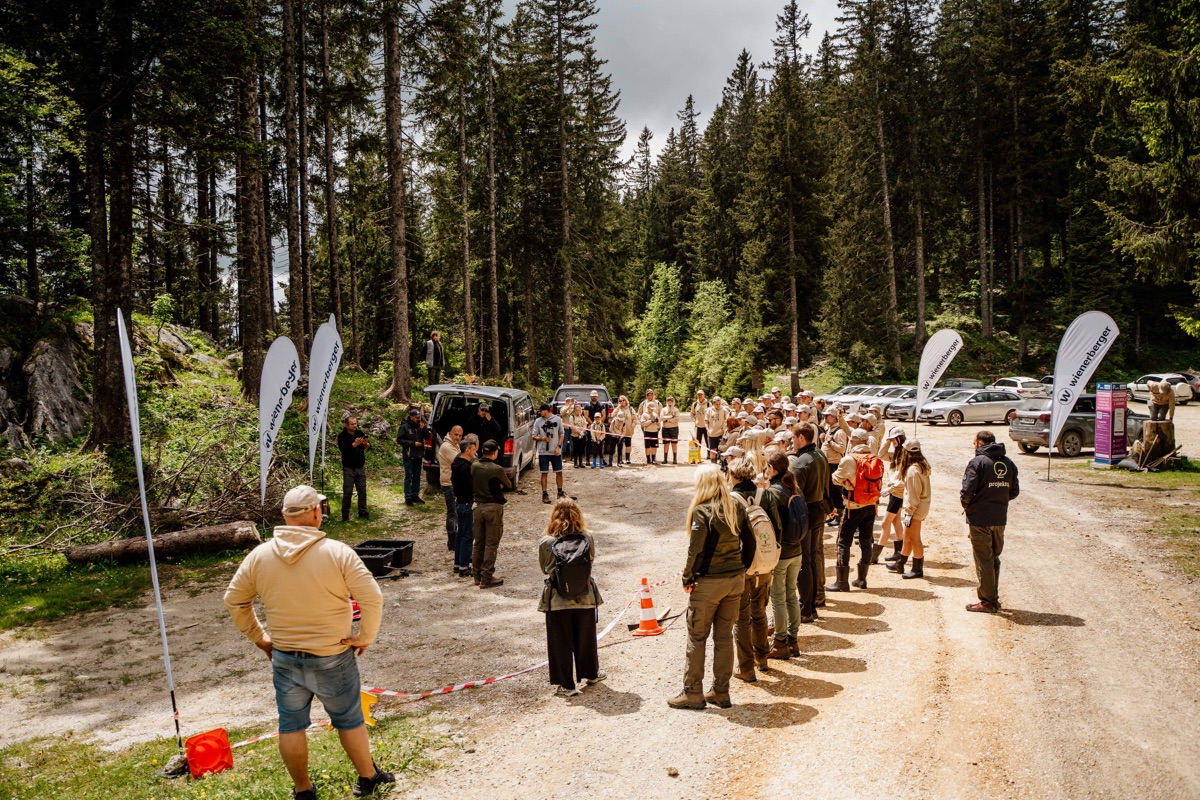 カムニシュカ・ビストリツァの植林