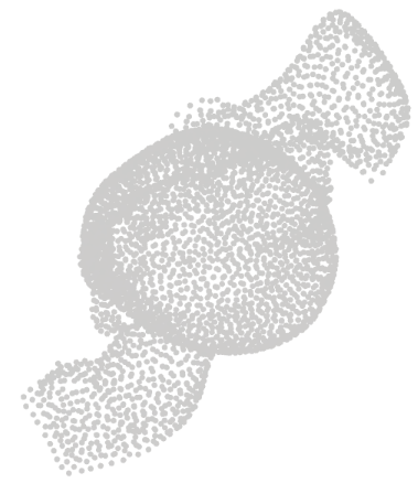 Point-E poodle point cloud viewed from yet another angle