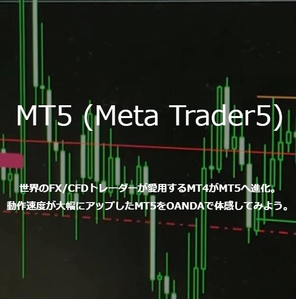 MT5