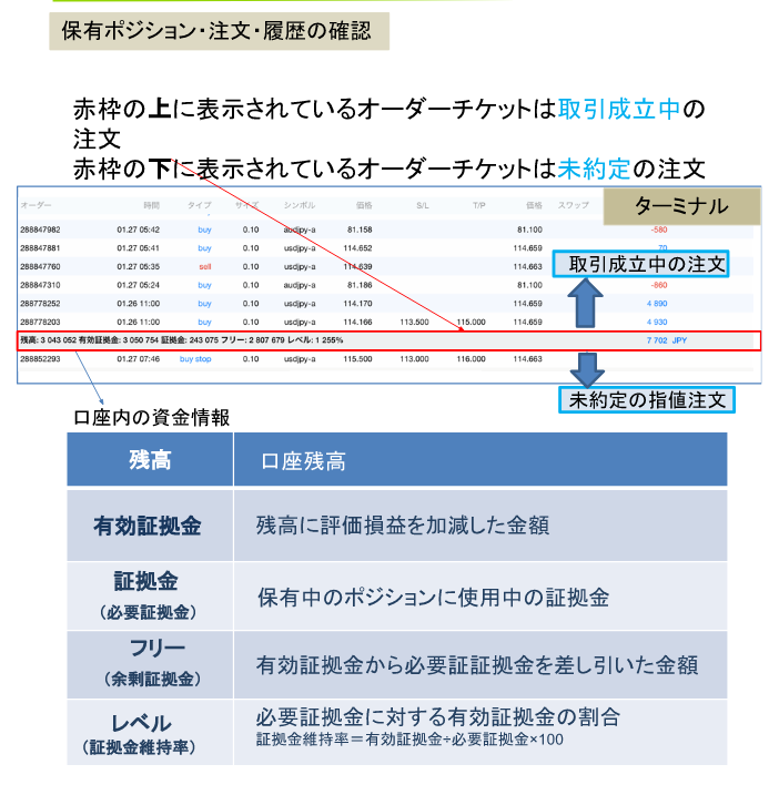 ターミナルで口座情報や取引履歴を確認する方法