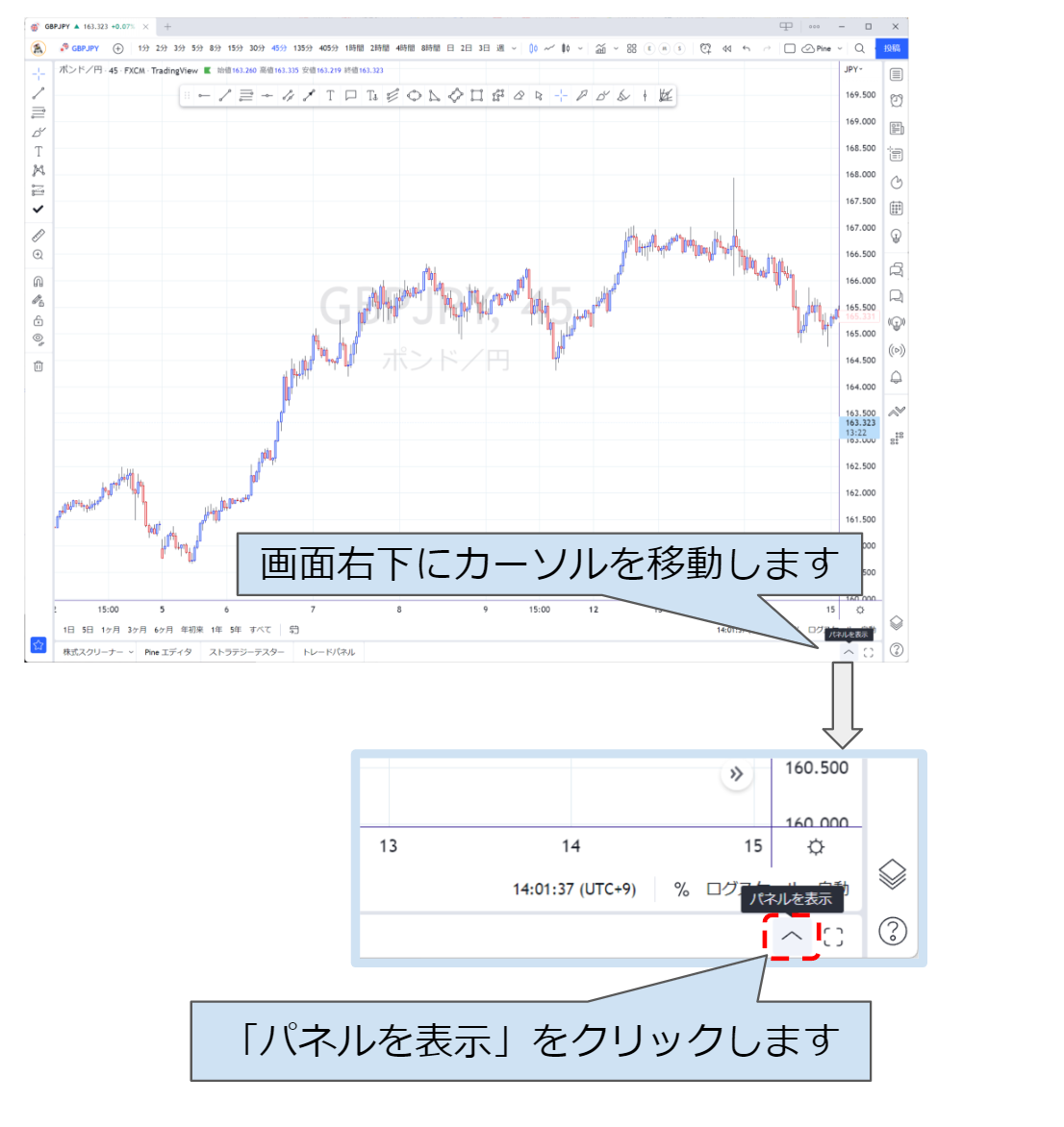 Pineエディタの起動方法