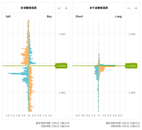 掛單/未平倉部位數據圖表 英鎊/美元