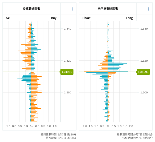 掛單/未平倉部位數據圖表 英鎊/美元