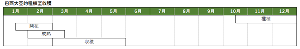 巴西大豆種植與收穫時間