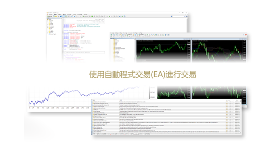 自動交易程式（EA）