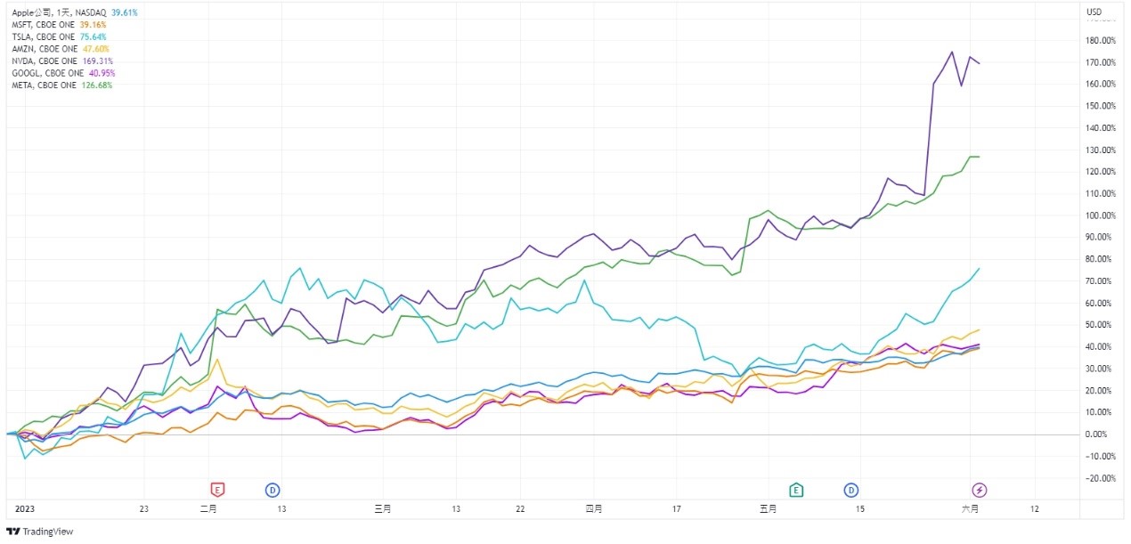 7 大科技巨頭今年已來累計漲幅