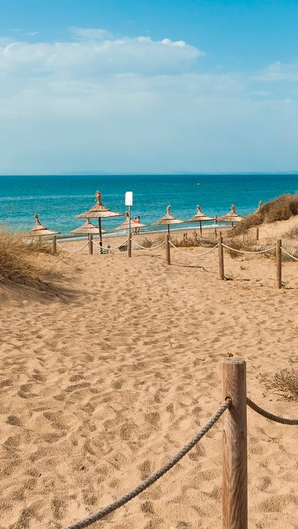 Welcome to Paloma Blanca Boutique Hotel