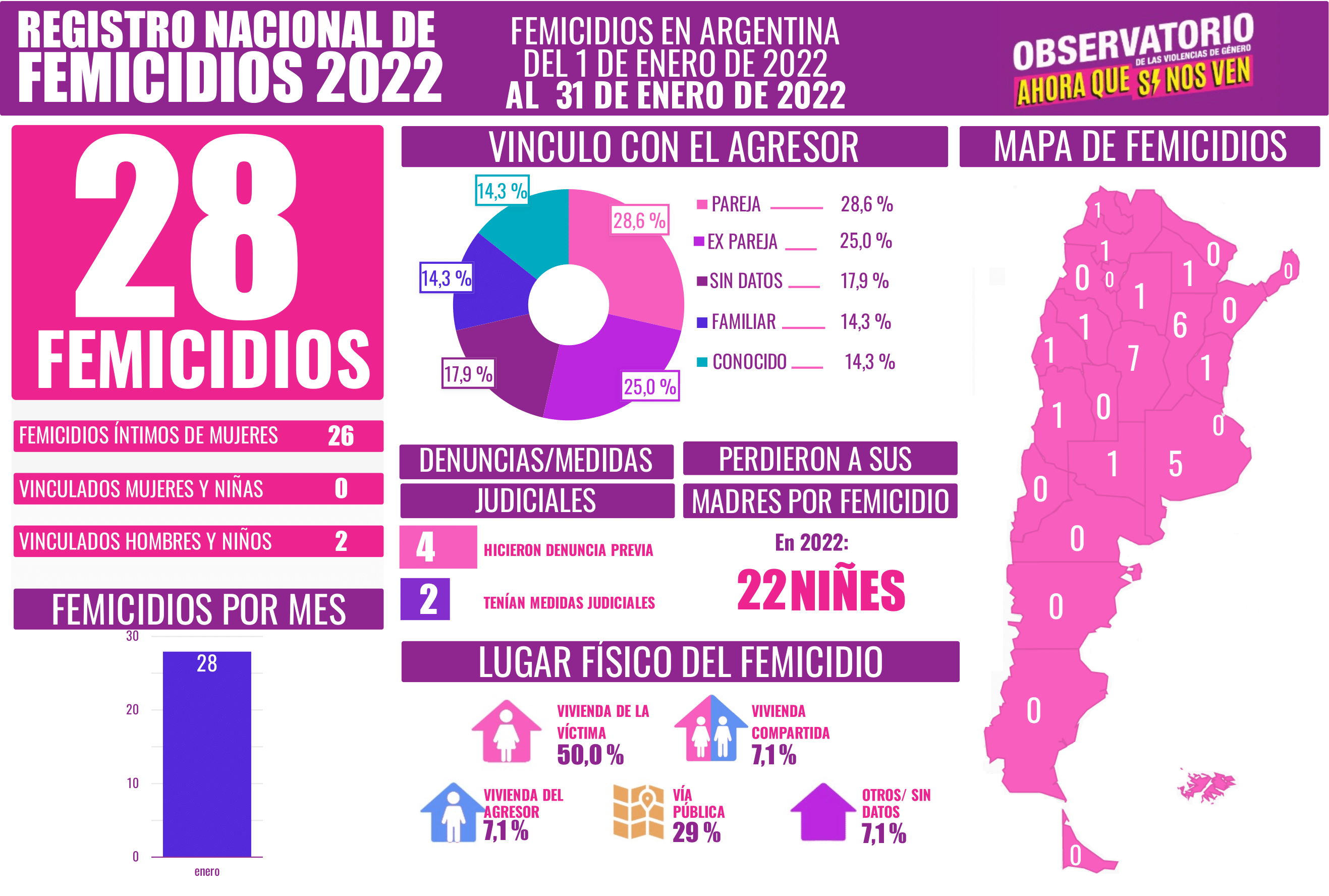 Observatorio femicidios enero 2022