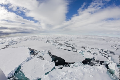 Banquisa de hielo flotante#}