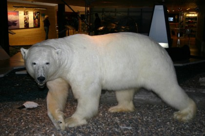 Svalbard Museum#}