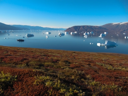 Greenland scenery#}