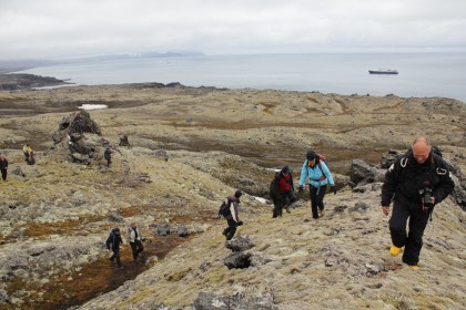 Arctic Ocean - Jan Mayen, Ice edge, Spitsbergen, Birding