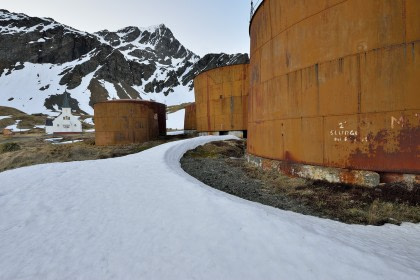 Südgeorgiens Walfanggeschichte & Sir Ernest Shackleton#}