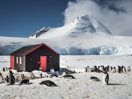 Antarctica - Basecamp - free camping, kayaking, snowshoe/hiking, mountaineering, photo workshop