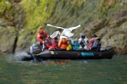 North Spitsbergen Explorer - Versatile landscapes, sea ice & wildlife - Summer Solstice