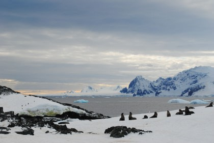 Antarctica - Zuidpoolcirkel - Zuidelijke Ontdekkingsreis - Aurora Australis / Zuiderlicht