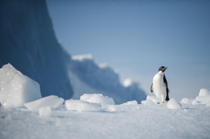 Antarctica - ontdekking en leerreis
