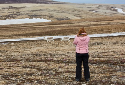 Exploración al Norte de Spitsbergen - Diversos paisajes, hielo marino y vida salvaje