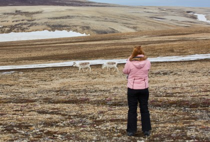 Nordspitzbergen Entdecker - Vielfältige Landschaften, Meereis und Tierwelt