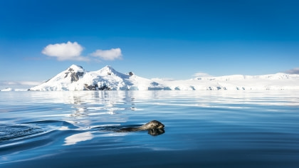 Antarktis  -  Entdeckung und Lernreise