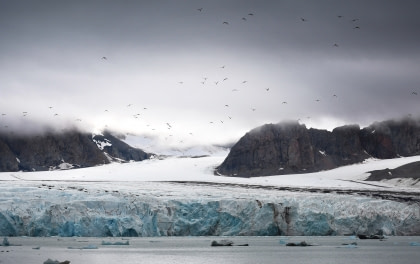 Rond Spitsbergen - In het gebied van de ijsbeer en ijs