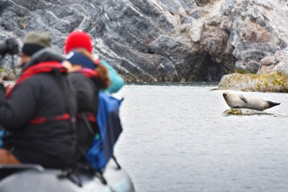 Rond Spitsbergen - In het gebied van de ijsbeer en ijs