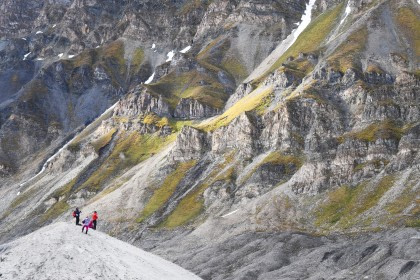 Rond Spitsbergen - In het gebied van de ijsbeer en ijs