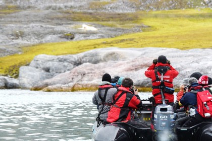 Rond Spitsbergen - In het gebied van de ijsbeer en ijs