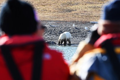 Rond Spitsbergen - In het gebied van de ijsbeer en ijs