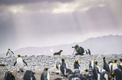 Falkland-Inseln – Südgeorgien – Antarktische Halbinsel