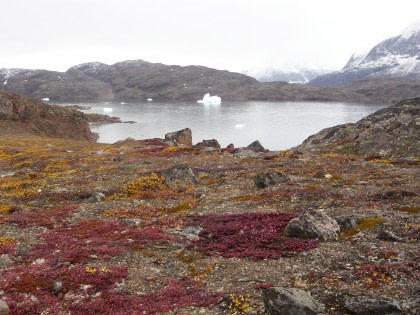 Scoresby Sund al este de Groenlandia - Auroras boreales, Incluidas las caminatas largas