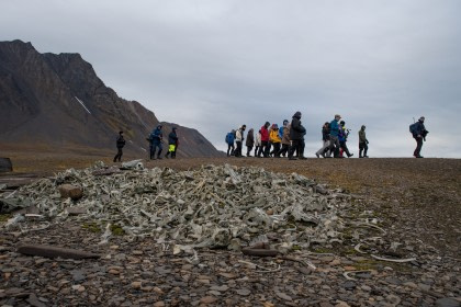 23 Days Extended Around Spitsbergen & Northeast Greenland - Aurora Borealis