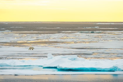 Around Spitsbergen - Kvitoya, In the realm of Polar Bear & Ice